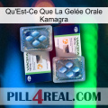 What Is Kamagra Oral Jelly viagra5